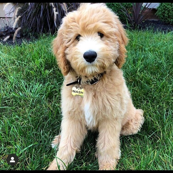 Meet your Posher, Jessica - Picture 1 of 1